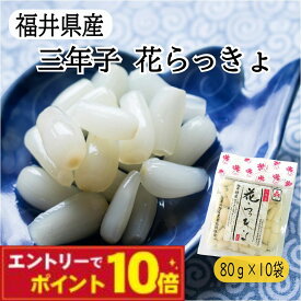 【エントリーでポイント10倍】福井 らっきょう 三年子 花らっきょう 三里浜 80g×10袋 セット 福井県産 花 らっきょ 甘酢漬け 国産 満天☆青空レストラン 取り寄せ 塩らっきょう