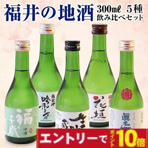 HMtg n ݔ 300ml×5Zbg { Mtg ϔ v[g 䒆 Ε j ސEj 60 70 80 2025