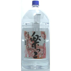 yeʃybgz25x y Ē 5Lybg Ē 䒆 Mtg v[g i j Ԃ  Ē P[X Ɩp