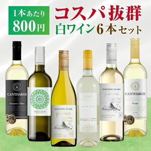 RXpŋ C 6{Zbg ݔ lߍ킹 C^A XyC `  fC[C ƈݗp  \G