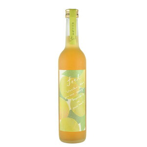 y䌧Y~ґɎgpFȖ킢zԊ_ Ă̔~ FEEL 500ml ~ {x[X Mtg v[g j 䒆 j Ԃ i  Gift Sake