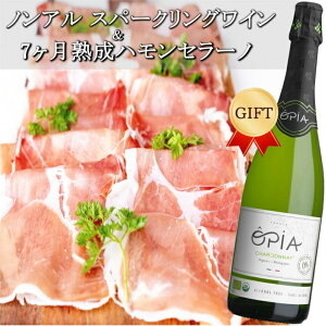 HMtg mAR[Xp[NOCnZbg IsA A750ml nZ[m n7 ܂ Mtg Dw a LO j v[g 60 70 80 2025