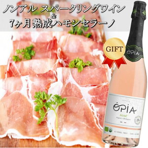 HMtg mAR[Xp[NOCn MtgZbg IsA [ 750ml nZ[m n7 I[KjbN Dw oYj ܂ v[g 60 70 80 2025