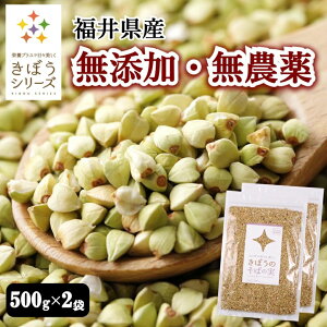 ڂ ΂̎ 1kg(500g×2) Y _ ΂̂  ۔ kL 䌧Y Y WX^gveC