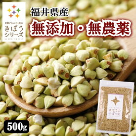 きぼうの そばの実 500g 国産 無農薬 そばのみ 抜き実 丸抜き ヌキ実 福井県産 無添加 レジスタントプロテイン