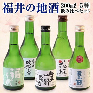 HMtg n ݔ 300ml×5Zbg { Mtg ϔ v[g 䒆 Ε j ސEj 60 70 80 2025