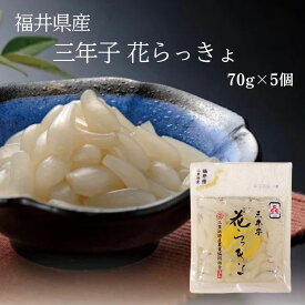 福井県三里浜産 三年子 花らっきょ 70g×5個 セット 国産 らっきょう 漬物 シャキシャキ 食感 ご飯のお供
