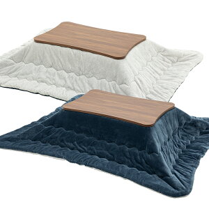 y11/1܂P5{z ȓ 􂦂邱zc o[Vu 200×240cm pی^ pی` ` 唻  |zc |zc zc | |zc |