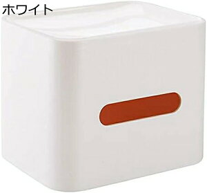 eBbVP[X eBbV{bNX NGCeBu [ eBbVJo[ k  [P[X eBbV