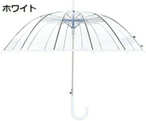 P P WvP rj[ 傫TCY 16{ JP xOXt@Co[̗p ~J΍ v ϕ  y jp XebLP  ʋ  ʊw  