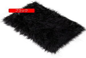 tFCN[g}bg a J[ybg[g}bg 40x60 CM 􂦂 VM[O k ` O E[ O~