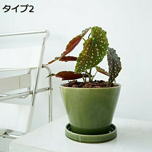 植木鉢 多肉植物 陶器鉢 育苗ポット プランター 底穴付き セラミック植木鉢 サボテン鉢 園芸 花瓶 小型植物適用 陶器 お洒落 視覚の魅力 おうちじかん タイプ2 飾り 窓飾り 人工観葉植物 エ