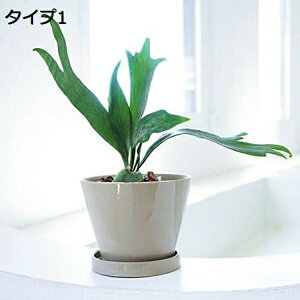 Aؔ A 픫 c|bg v^[ ꌊt Z~bNAؔ T{e | ԕr ^AKp   o̖  ^Cv2   lHϗtA G