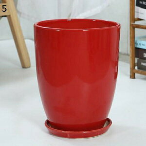 Aؔ   󂯎MȂ ϗtA ~` 05  RN[g t v^[ 5 Vv O[  Mt Op ꌊ Aؔ |bg 픫  XL*23.7*30CM 