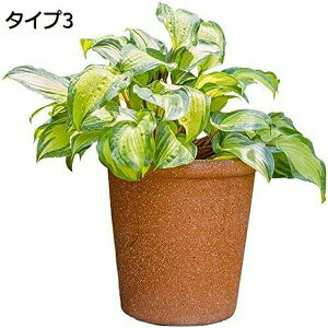 Aؔ v^[  Jo[ k ꌊ M a Vv ϗtA Ԕ n[u c p A  x_| x_   | NGCeBu GR K