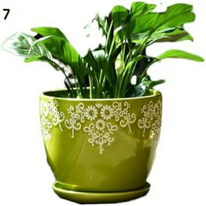 v^[ Aؔ  A  ͔| v[g Mtg ̓ ʔ  킢 K[fjO r Aؔ v^[    M 15 󂯎Mt t ItBX  A