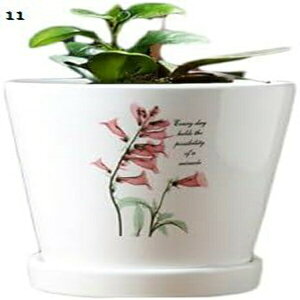 v^[ Aؔ  A  ͔| v[g Mtg ̓ ʔ  킢 K[fjO r Aؔ v^[    M 15 󂯎Mt t ItBX  A