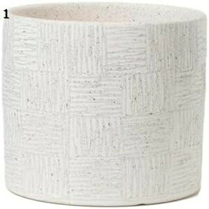 v^[ Aؔ  A  ͔| v[g 06 Mtg ̓ ʔ  킢 K[fjO ItBX 픫  5 t h~ 󂯎Mt r 20*18.5cm  v^[ 