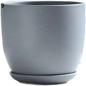 v^[ Aؔ  A A}u A[gXg[ Rei Eh  ͔| v[g Mtg ̓ ʔ  XL h~ 02  Aؔ ϗtA   y 