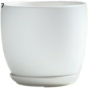 v^[ Aؔ  A A}u A[gXg[ Rei Eh  ͔| v[g Mtg ̓ ʔ  XL h~ 02  Aؔ ϗtA   y 