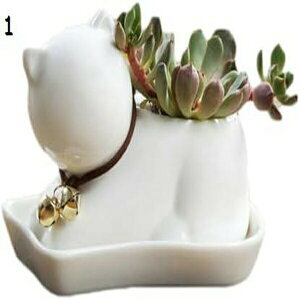 ϗtA|bg A u 킢 ~j  ItBX  ~` A v^[ zCg 픫 Aؔ ~` ϗp  ϗtA F 󂯎MȂ v^[ 