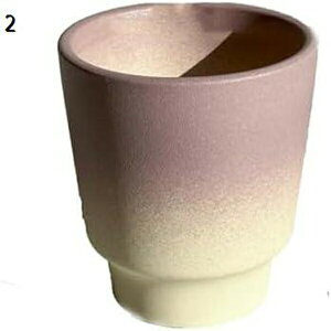 v^[ Aؔ  A  ͔| v[g Mtg ̓ ʔ  킢 K[fjO r 픫 󂯎Mt h~  5 12.5*12cm A 01 CeA t