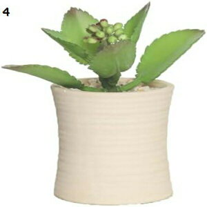 v^[ Aؔ  A  ͔| v[g Mtg ̓ ʔ  02 킢 K[fjO v^[  F ItBX CeA Aؔ h~   t 5 r 