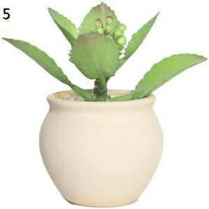 v^[ Aؔ  A  ͔| v[g Mtg ̓ ʔ  02 킢 K[fjO v^[  F ItBX CeA Aؔ h~   t 5 r 