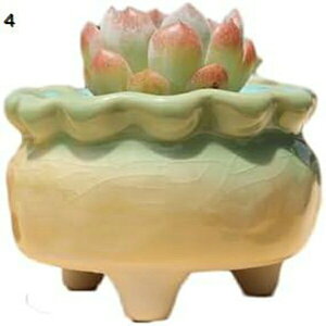 Aؔ  Z~bN  8.5*6.5 ApJ 킢 O[  RN[g v^[ 04  ~` O  ϗtA 򍪐A A A |   T{e 킢 A