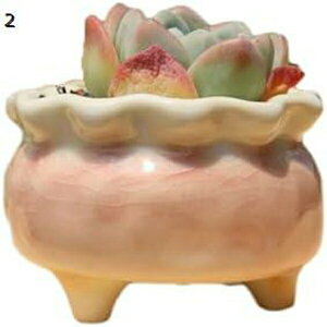 Aؔ  Z~bN  8.5*6.5 ApJ 킢 O[  RN[g v^[ 04  ~` O  ϗtA 򍪐A A A |   T{e 킢 A