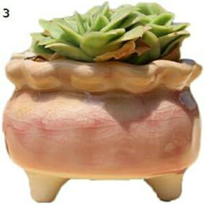 Aؔ  Z~bN  8.5*6.5 ApJ 킢 O[  RN[g v^[ 04  ~` O  ϗtA 򍪐A A A |   T{e 킢 A