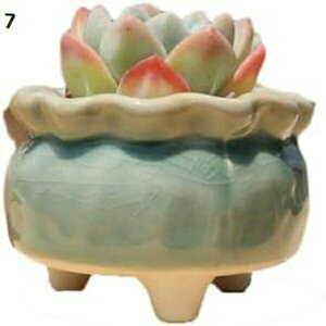 Aؔ  Z~bN  8.5*6.5 ApJ 킢 O[  RN[g v^[ 04  ~` O  ϗtA 򍪐A A A |   T{e 킢 A