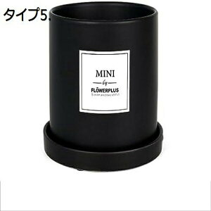 v^[ 퐻 Aؔ rEt ʋC Mt k Vv CeA NGCeBu ~`  ins  [ ^Cv2  [  㑕i K[fp