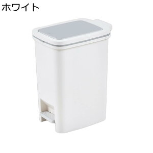 S~ 8bg 10L vX`bN  vbV ʃS~ y[ ӂt S~܂Ȃ R[q[̐F _Xg{bNX LX^[t ݔ 18L X t^ Lb`  I