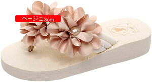 r[`T_ fB[X EFbW\[ T_ Xg[   rT_ ԕ  JWA ʋ Vv