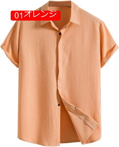 AnVc Y nC AnVc Vc JWA 傫TCY  ĕ {^_E  ʋC K J݃Vc y _炩 