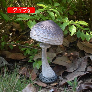 CeA L 킢 G u ^Cv3 IuWF AeB[N iȒu K[f ̑i O  LmR z[K[f  ANZT[ F K[fjOG 