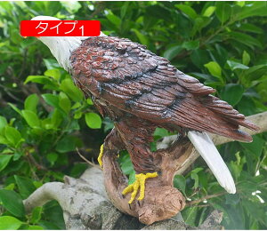 k G u ^ h̒u G k { I[ig K[fI[ig ̒  O ̎G 뒤̑ Ԓd A[g ̒u   F