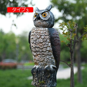 9 ӂ낤̒u K[f IuWF F J^ G IuWF u   CeA ANZT[ fR[V Ő  K[fjO I[ig tNE̒u Xܑ