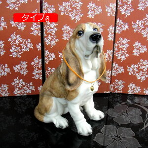  u IuWF JCC F ގ I[ig I  rO  X fR[V K[fIuWF IuWF CeA }XRbg  ^Cv  