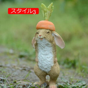 K[f K[f ETM̒u h ϋv i OETM̒u CeAG K[f  u | 낢 eq IuW X^C2 