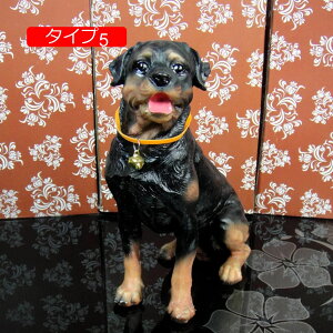 K[fjO K[fI[ig u ^Cv IuWF CeA 킢 G   F   Aj} 蕨 G IVȒu [Ăɂ񂮒u  }CN