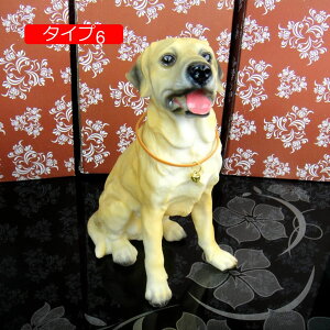 K[fjO K[fI[ig u ^Cv IuWF CeA 킢 G   F   Aj} 蕨 G IVȒu [Ăɂ񂮒u  }CN