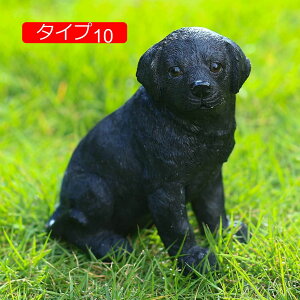 ̒u ގ I[ig 킢 ^Cv   F  ~jTCY G u IuWF Aj}IuWF CeA }XRbg 낢u  C