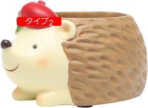 Aؔ A  ^Cv11  ^~jAؔ ʔ z[fR[V  ꌊ T{e  NGCeBu  ~A v^[ Ƒ F v[g I