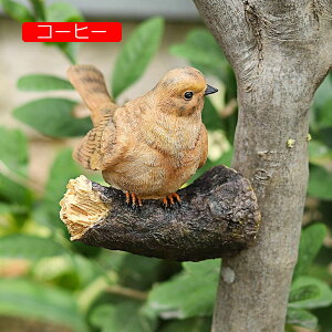 K[fI[ig  u  K[fjOG B K[fIuWF   CeA AEghA   fR[V v[g Mtg IuWF  I[ig