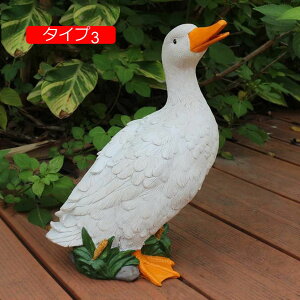 Aq̒u K[fI[ig AqG F ގ A ^Cv  Ƃ g I[ig IuWF   K[f K[fjO G CeA  I IVȒu