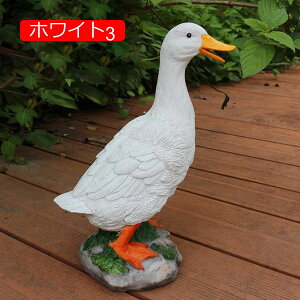 K[fI[ig Aq 킢 u  I[ig zCg K[f _bN  Ђ K[fIuWF K[fjO  킢Aq  K[fjO IuW