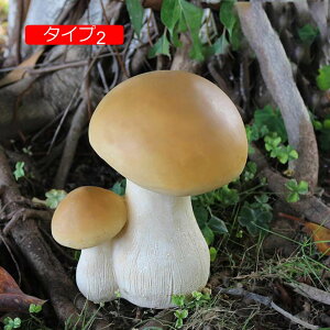 u }bV[  O̒̑ ̂ uK[fIuWF CeAG O Ђ ͋C ̂̒u  ^Cv F I z[fR[V ̑ O