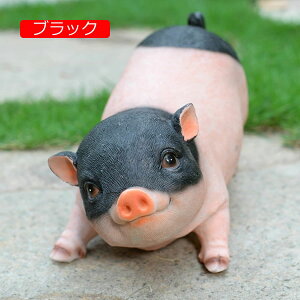 JCCu Aj} u Ԃ B W rO K[fjO   CeAu 蕨  ObY sN i IuWF ubN sbO u^ i` u